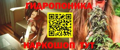 ешки Вязьма