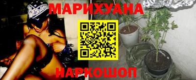 прущие грибы Вязники