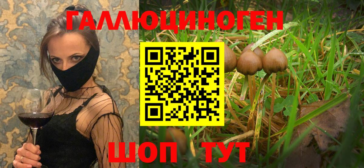 Галлюциногенные грибы MAGIC MUSHROOMS Волжский