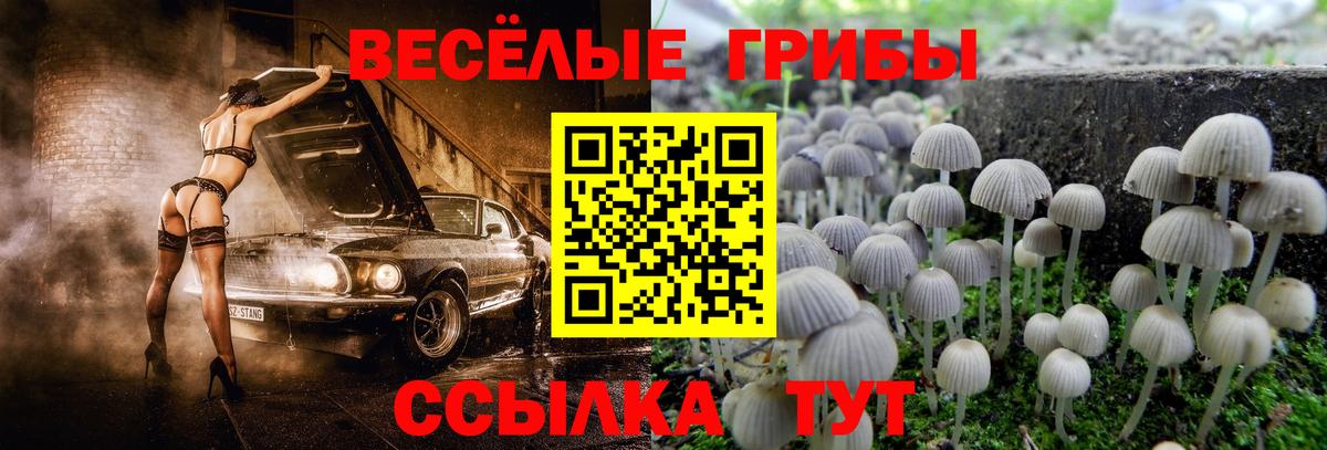 Псилоцибиновые грибы ЛСД  Псилоцибиновые грибы прущие грибы  Вход с VPN  Волжский 